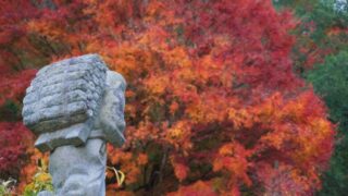 秋の風景と二宮金次郎の像