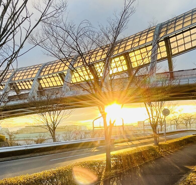 眩しい朝日と橋