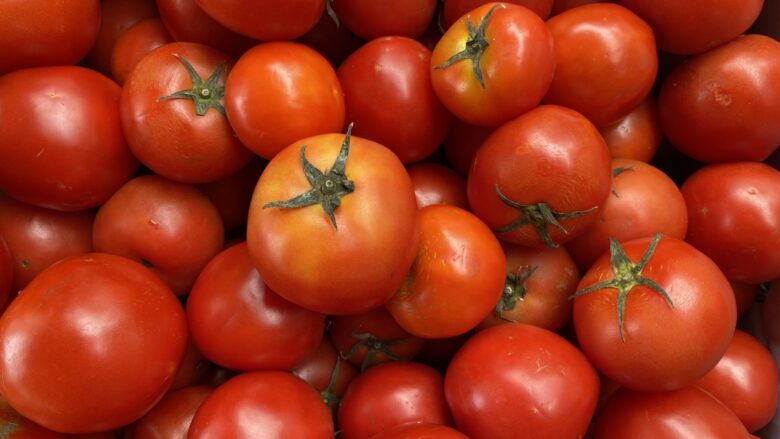 真っ赤な完熟トマト